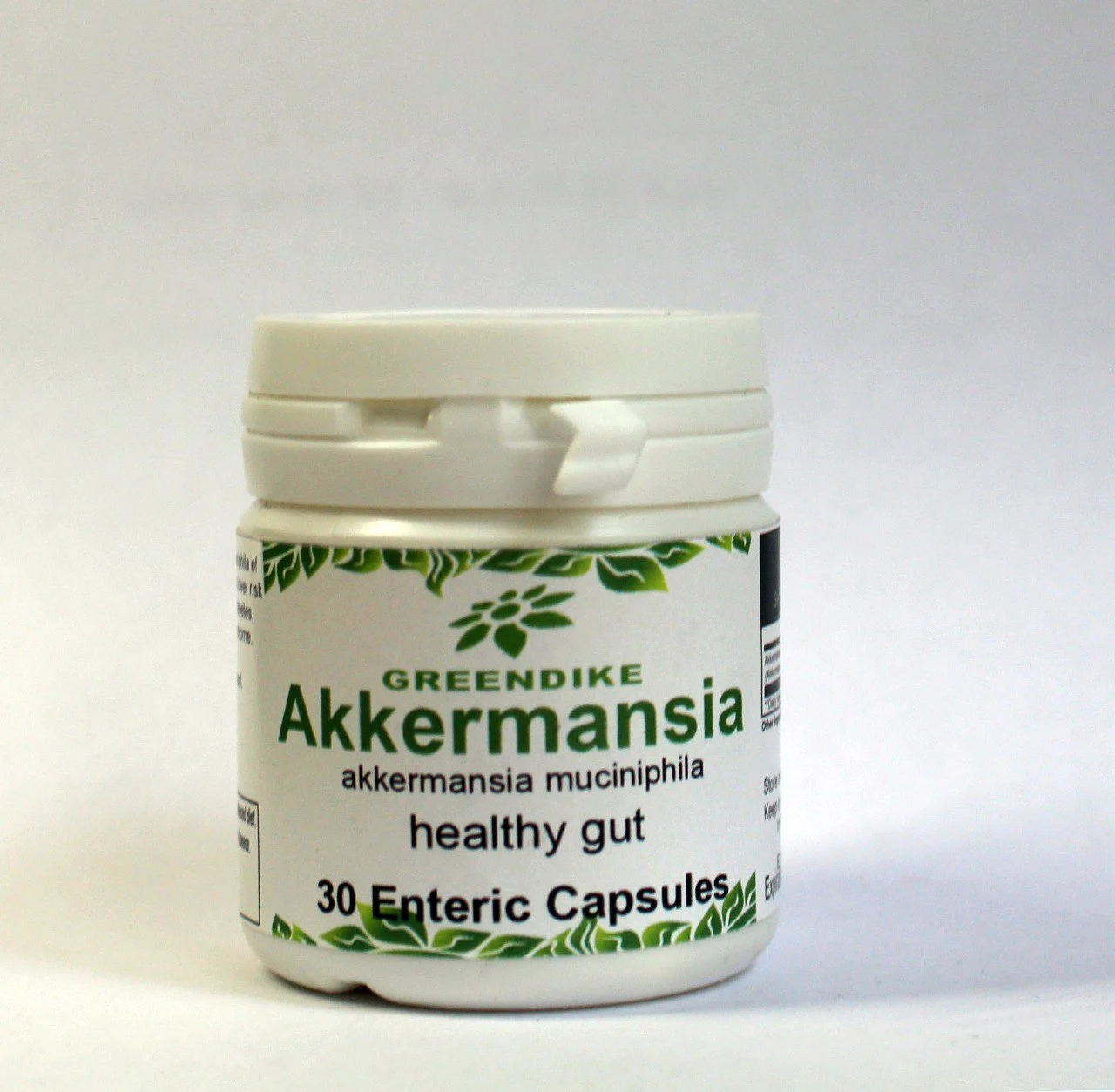 Akkermansia